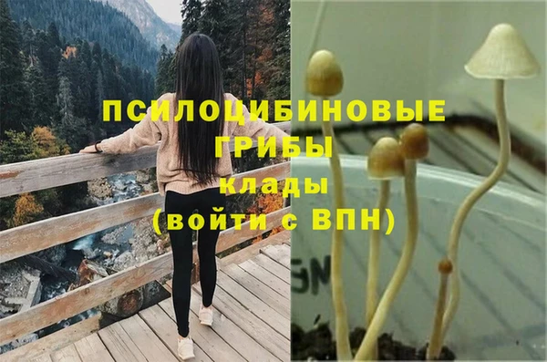 трава Алзамай