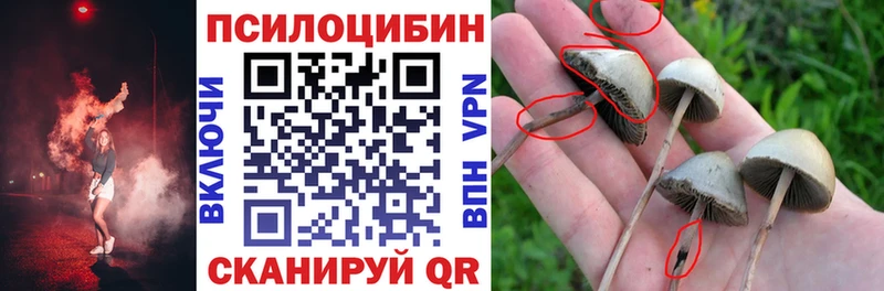 Псилоцибиновые грибы MAGIC MUSHROOMS  Бердск 